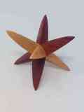 Turned Star