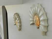 Ash Ammonites