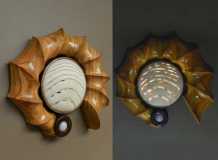 Cherry Ammonite