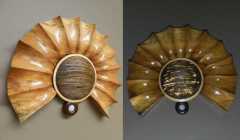 Maple Ammonite
